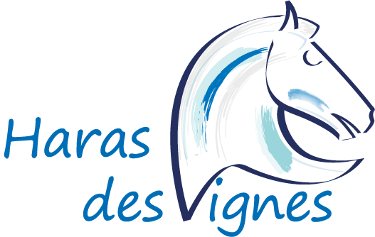 Haras des Vignes